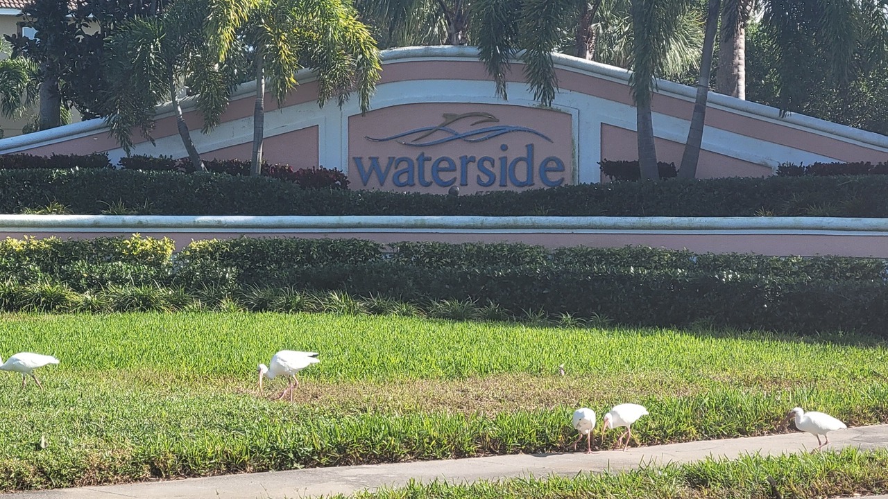 Photo of Outdoor in Coquina Key