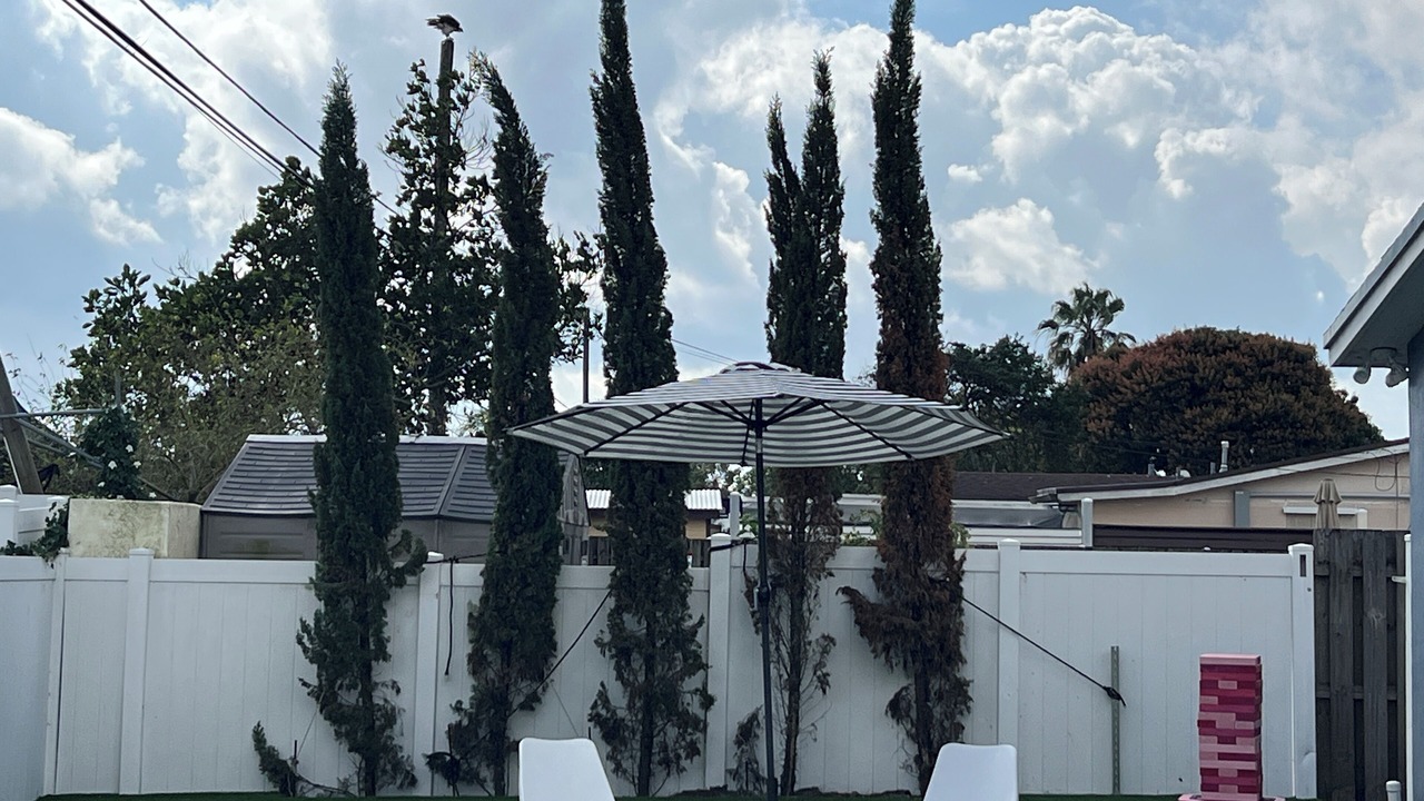 Photo of Others in Boulevard Heights