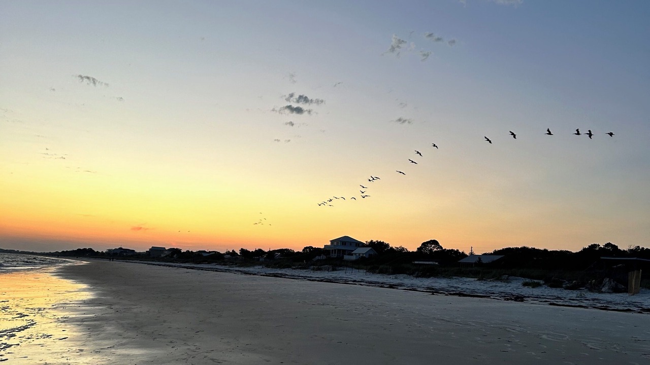 Photo of Others in Alligator Point