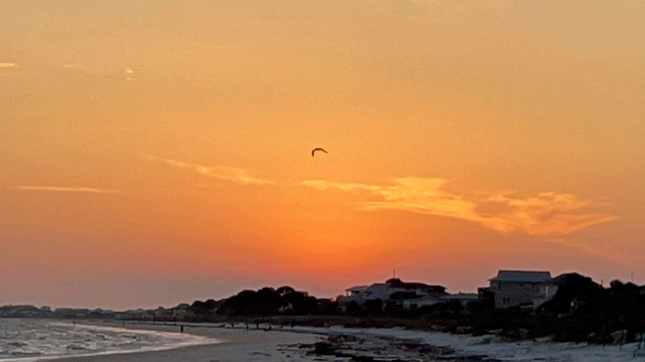Photo of Others in Alligator Point