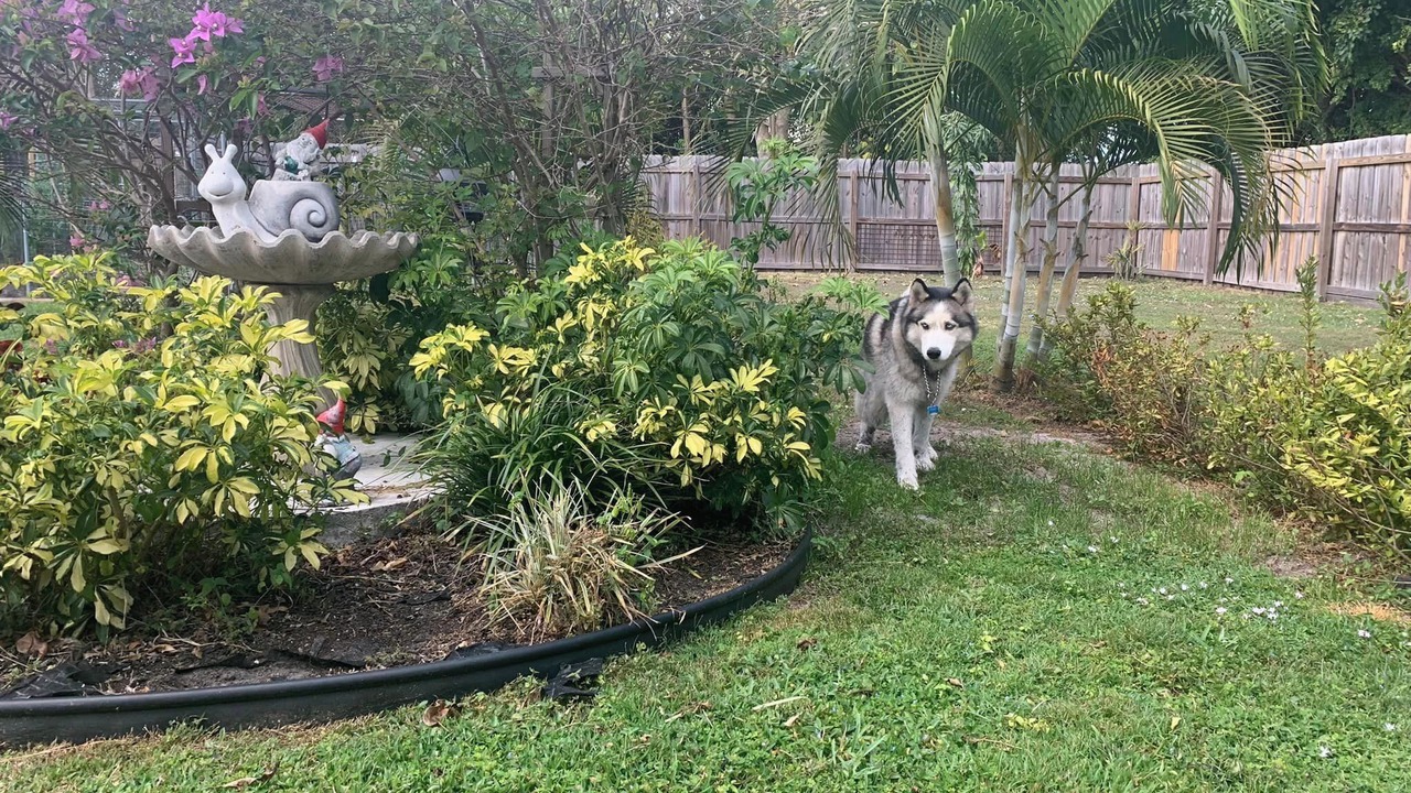 Photo of Outdoor in Port Saint Lucie