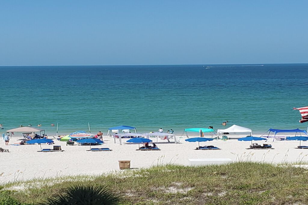 Photo of Others in South Pinellas Community Council