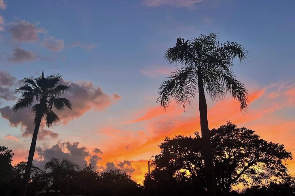 Photo of Outdoor in South Pinellas Community Council
