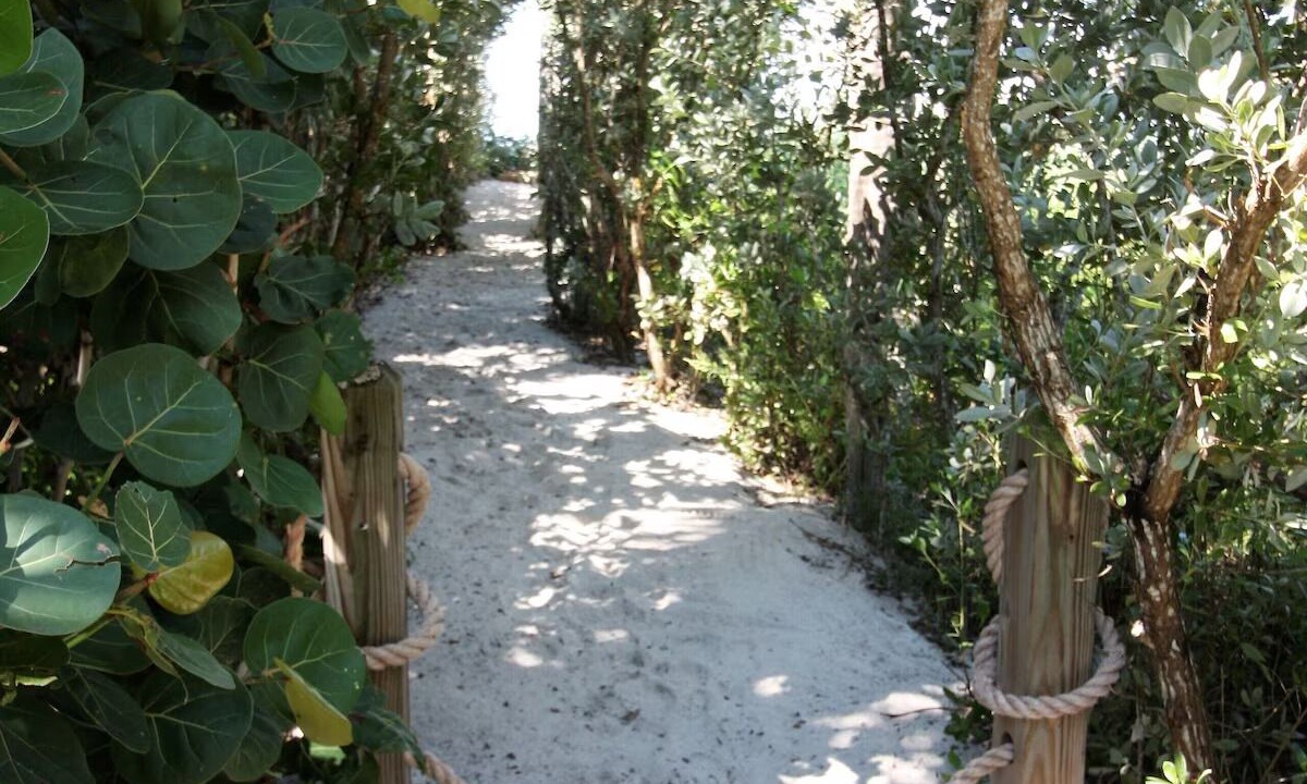 Photo of Outdoor in North Captiva