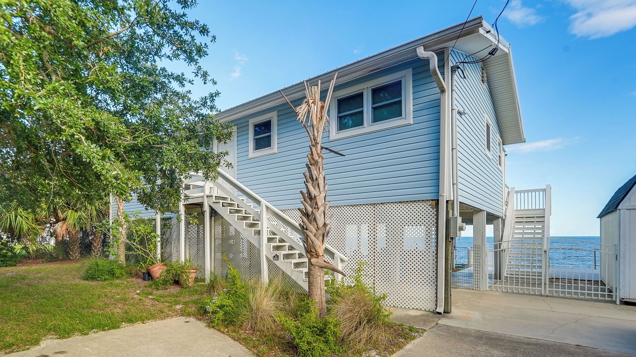 Photo of Outdoor in Alligator Point