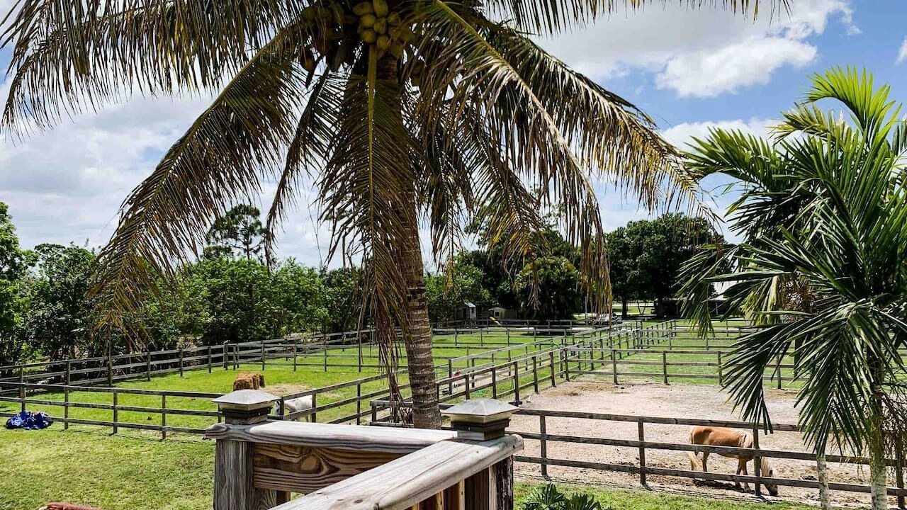 Photo of Patio Balcony in Loxahatchee Groves
