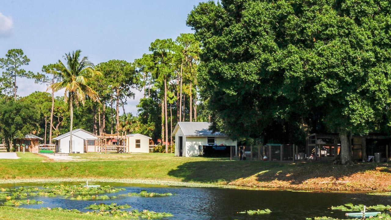 Photo of Others in Loxahatchee Groves