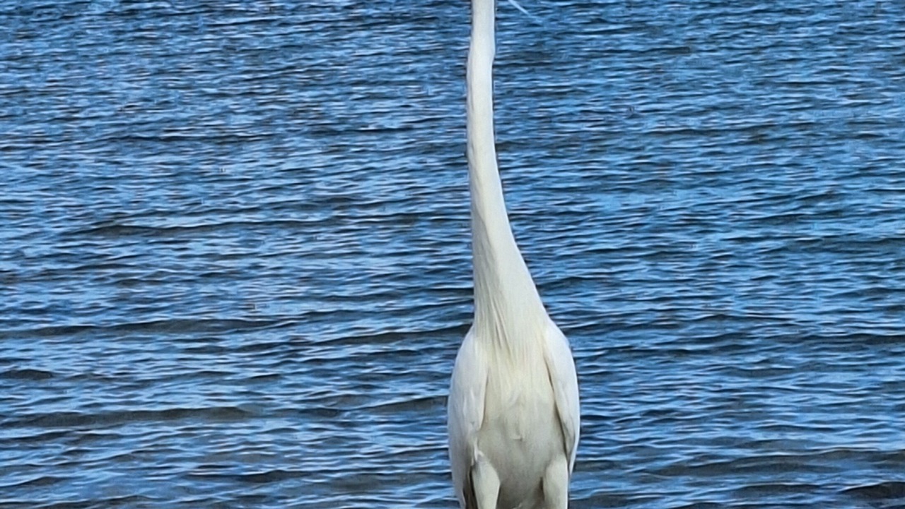 Photo of Others in Cudjoe Key
