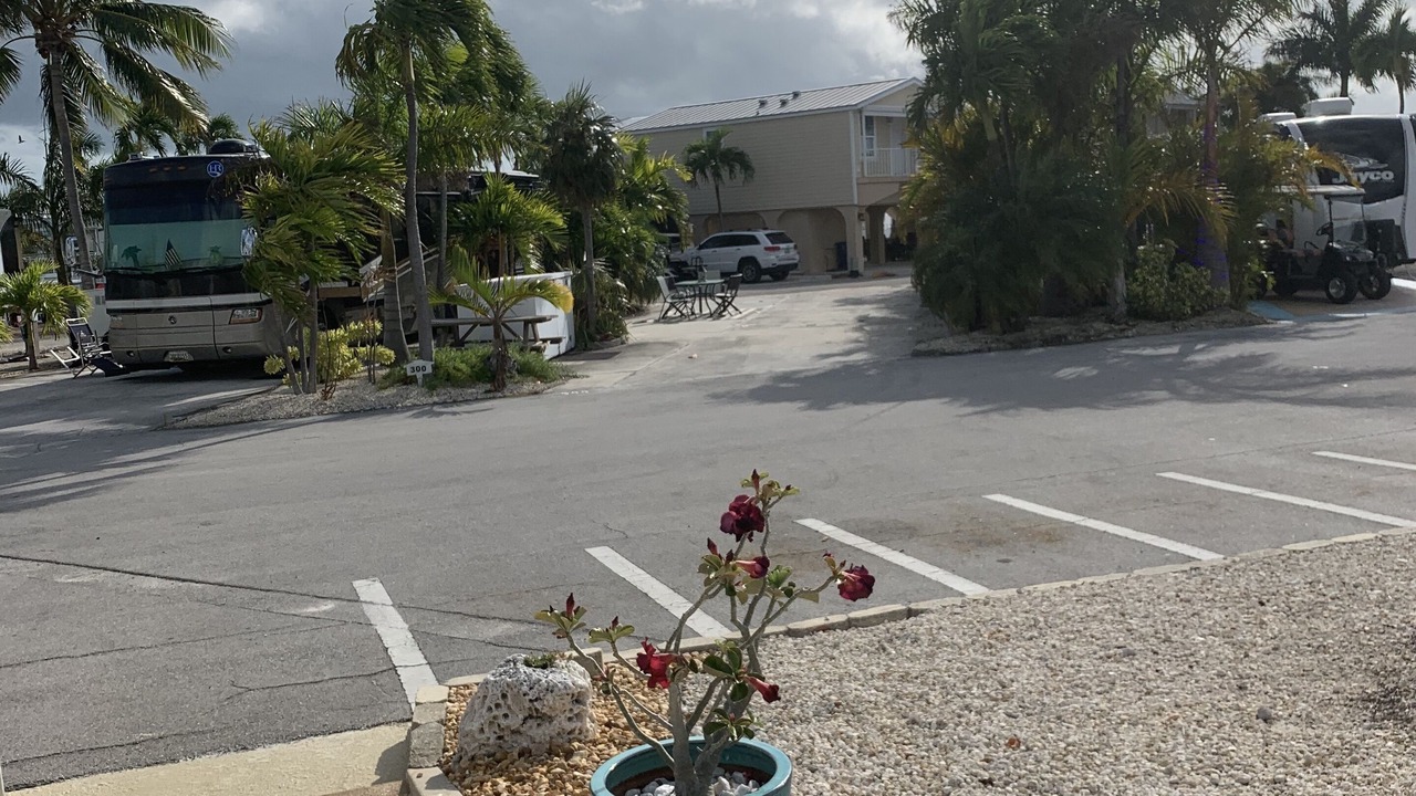 Photo of Outdoor in Cudjoe Key