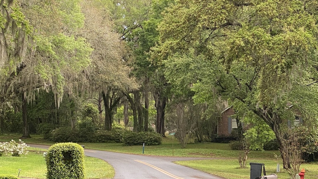 Photo of Outdoor in Lake City