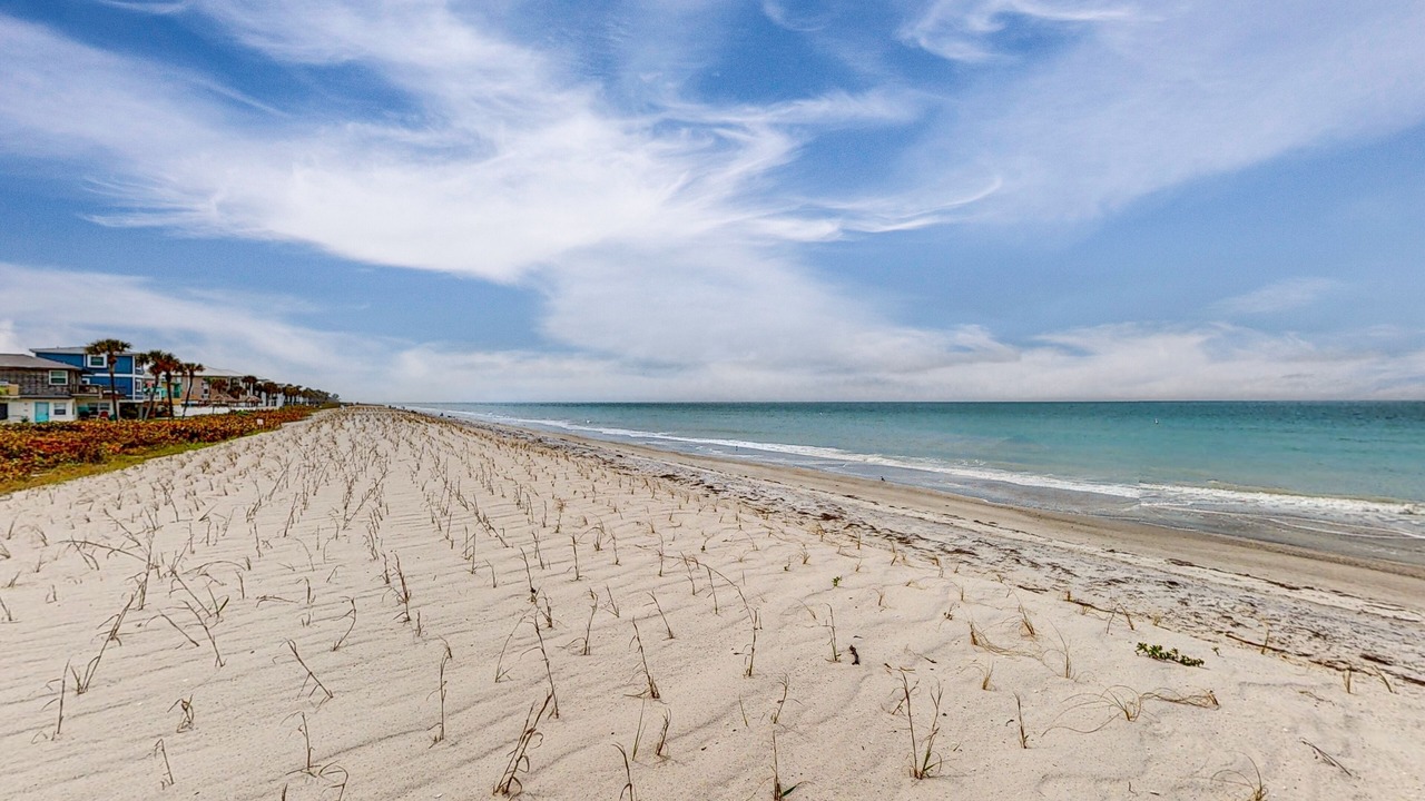 Photo of Others in Belleair Beach