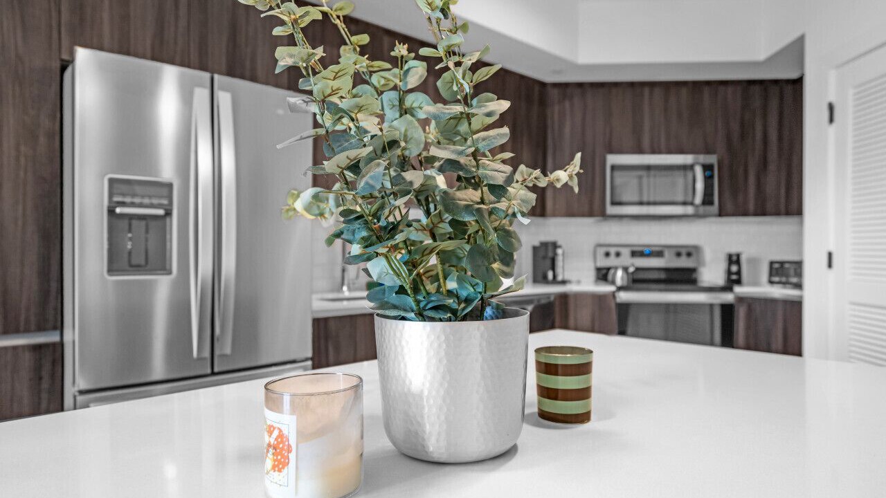 Photo of Kitchen in Doral