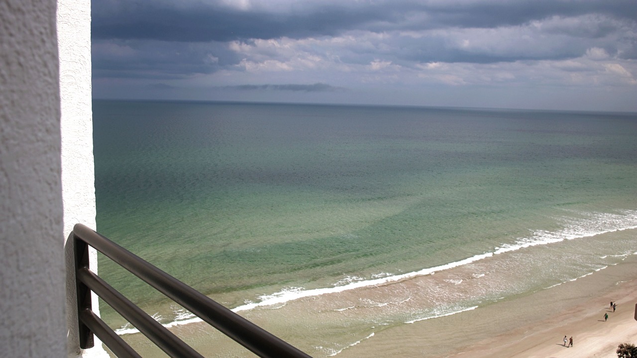Photo of Others in Daytona Beach Shores