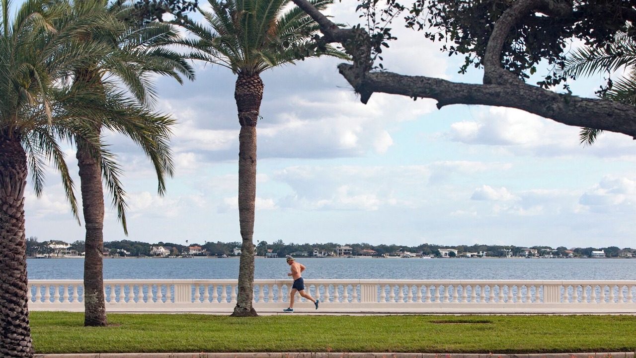 Photo of Outdoor in Ballast Point