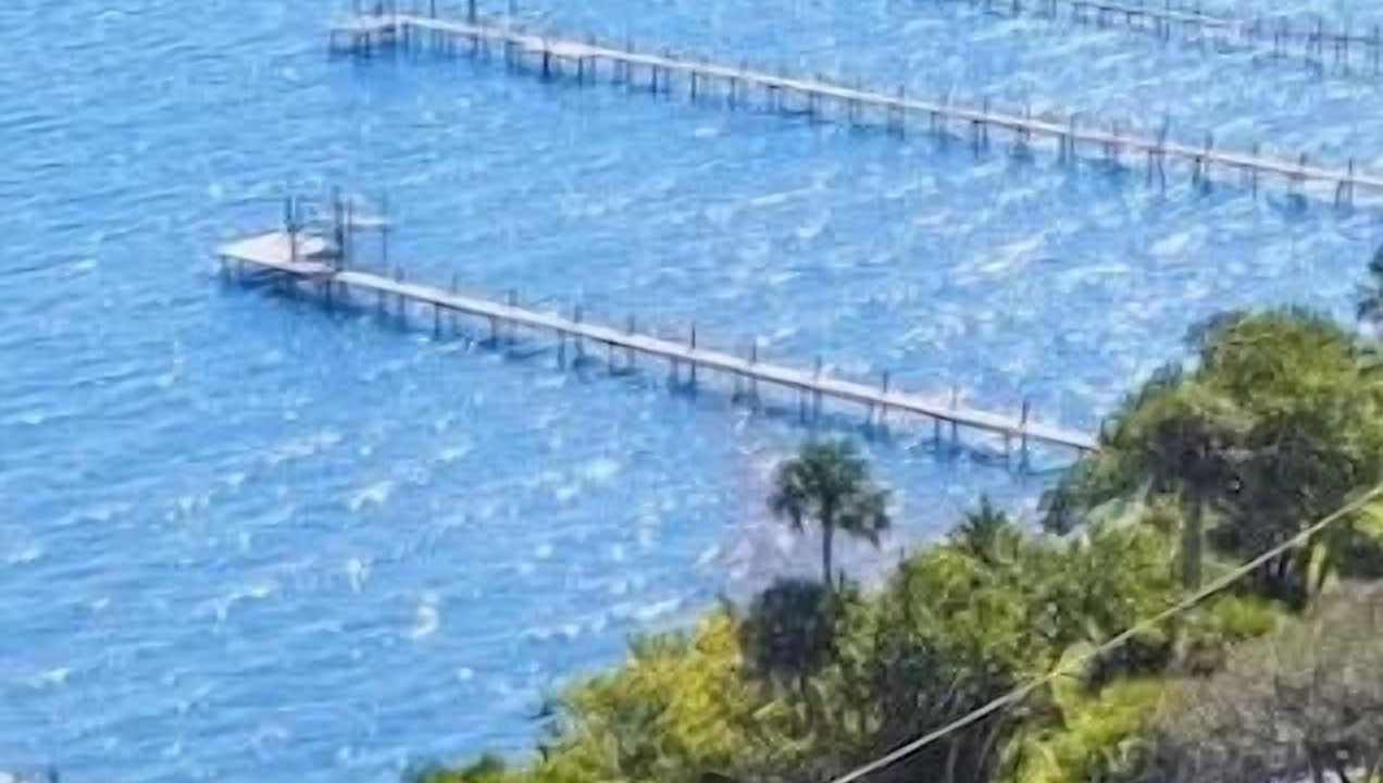 Photo of Outdoor in Indian River Estates