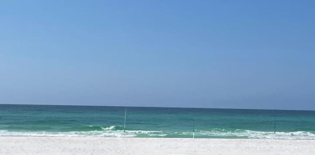 Photo of Others in Gulf Breeze