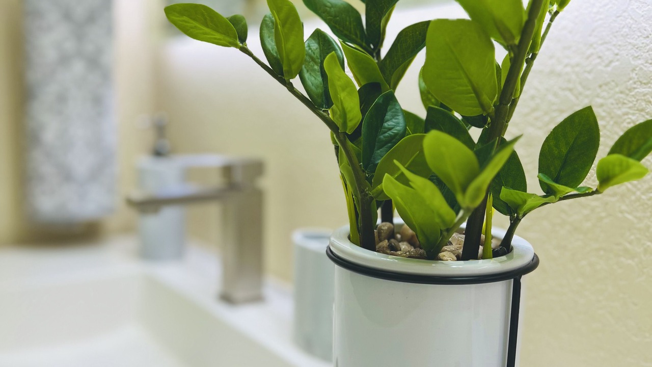 Photo of Bathroom in Fairoaks Manhattan Manor