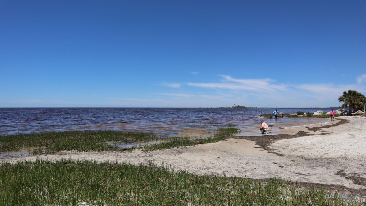 Photo of Others in Keaton Beach