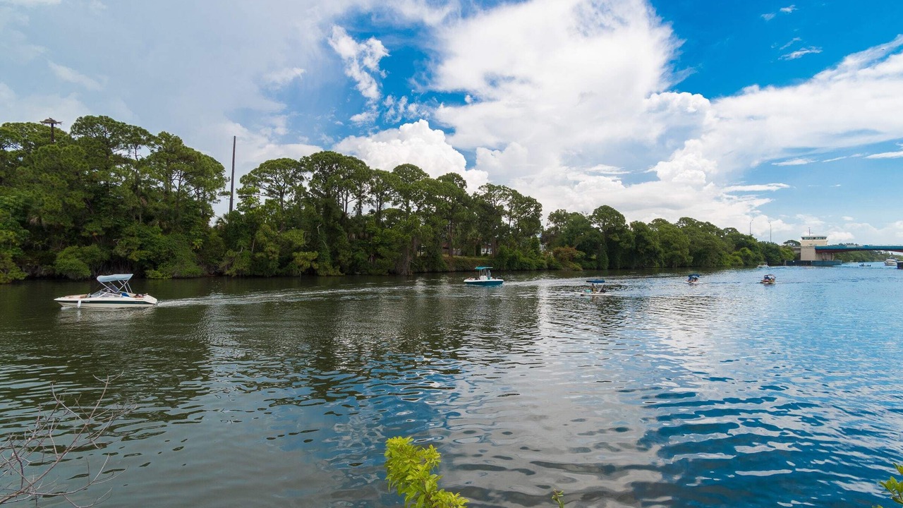 Photo of Others in Merritt Island