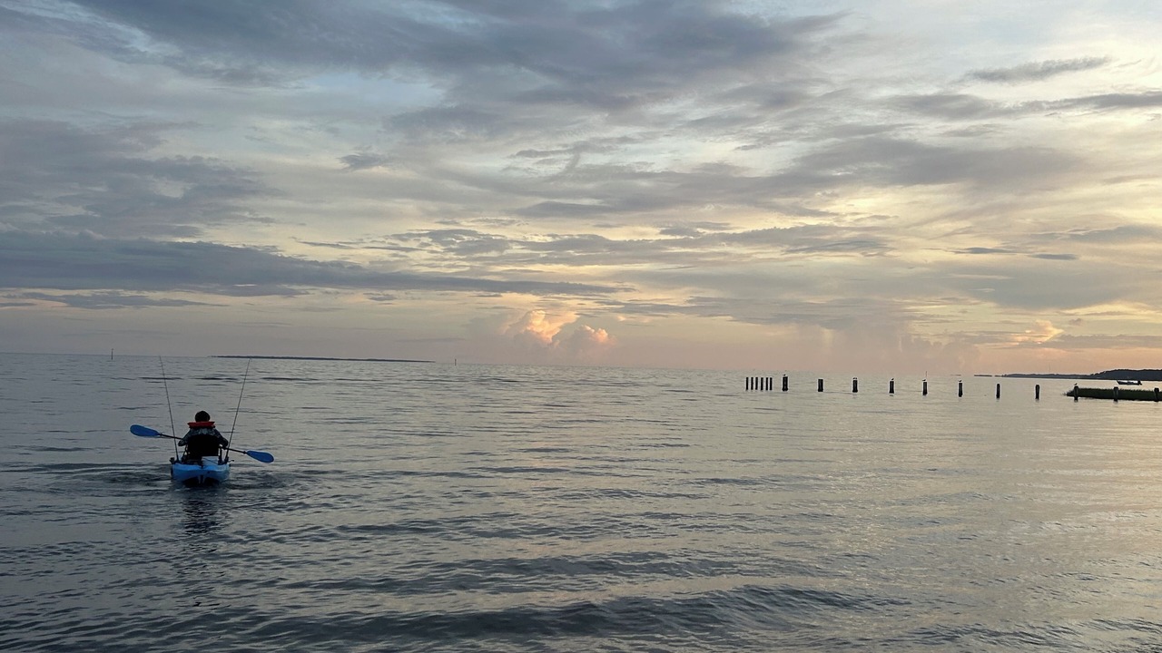 Photo of Others in Carrabelle