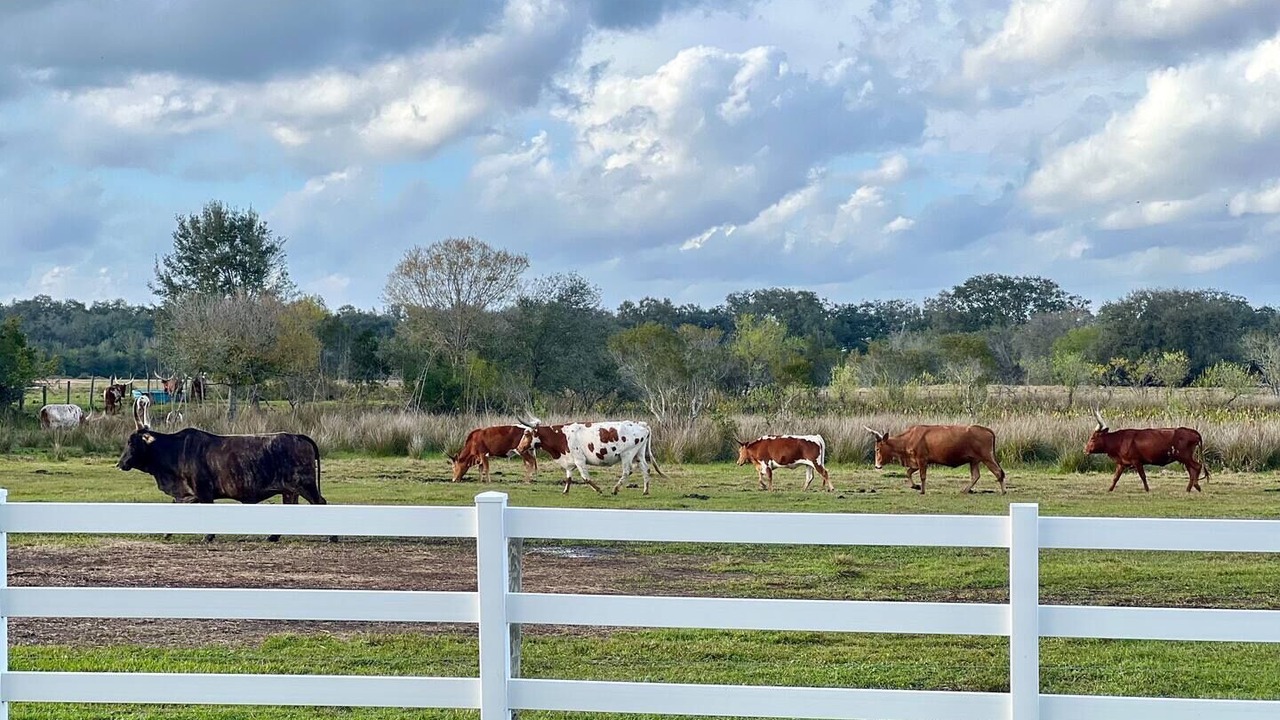 Photo of Outdoor in River Ranch