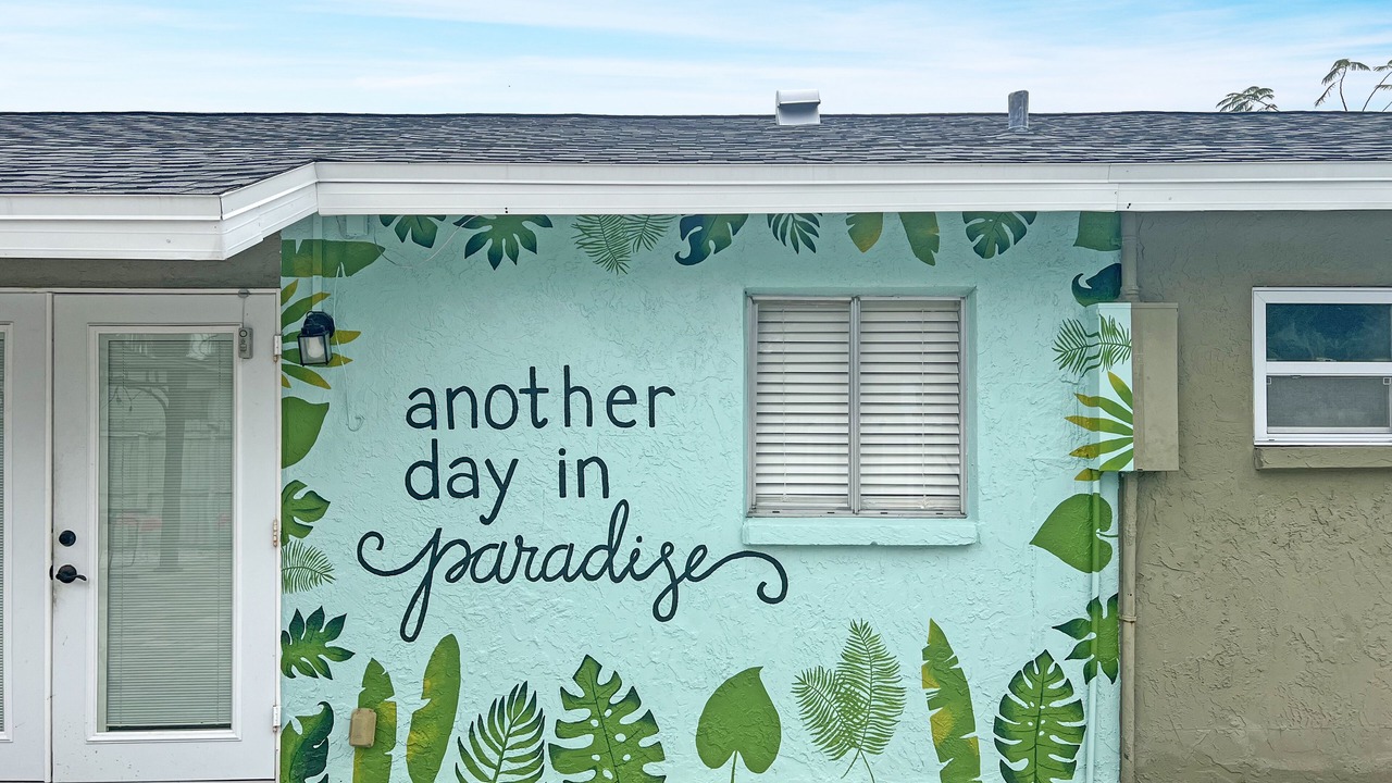 Photo of Outdoor in Pinellas Park