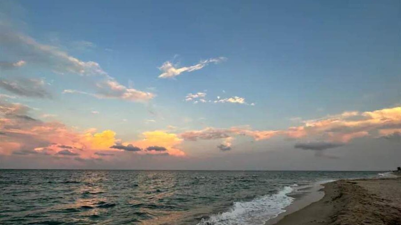 Photo of Others in Palm Beach Shores