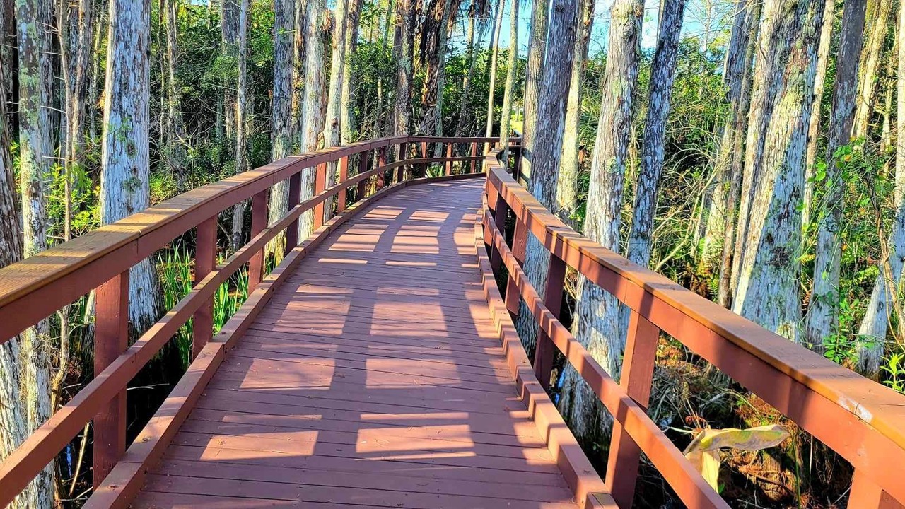 Photo of Outdoor in Fort Myers
