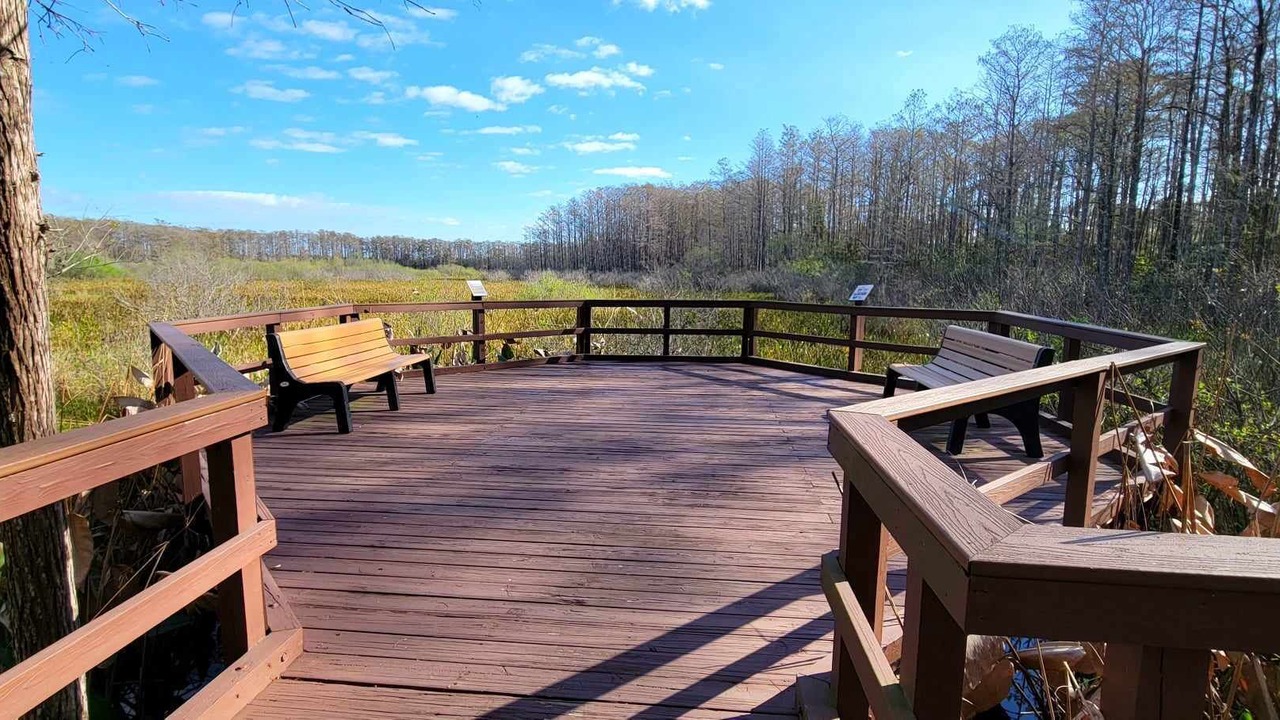 Photo of Outdoor in Fort Myers
