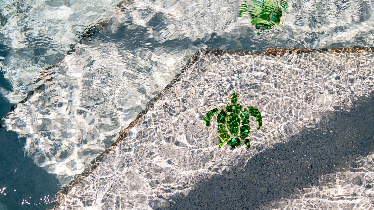 Photo of Others in Rotonda Lakes