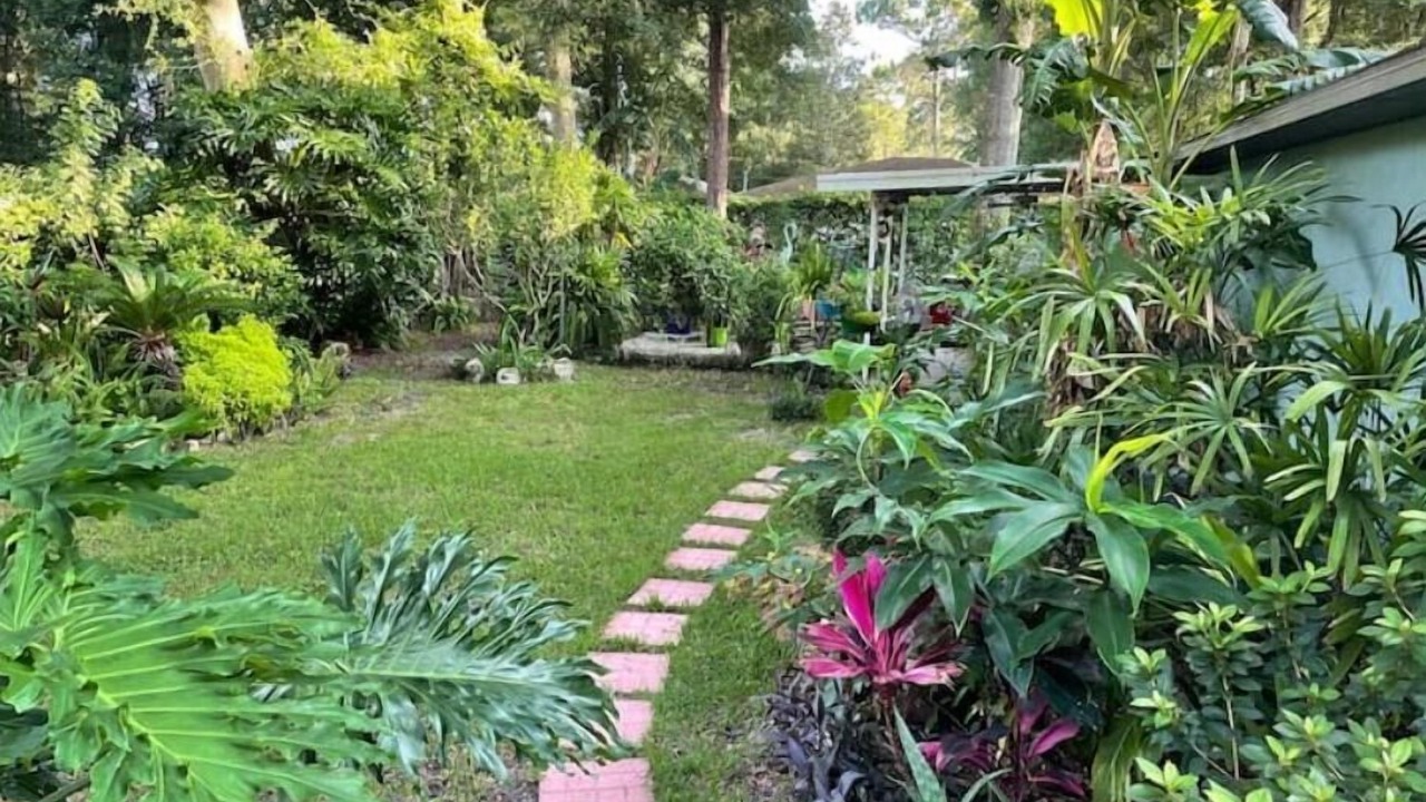 Photo of Outdoor in Ocala