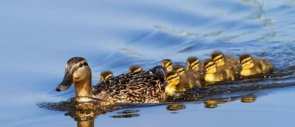 Photo of Others in Altamonte Springs