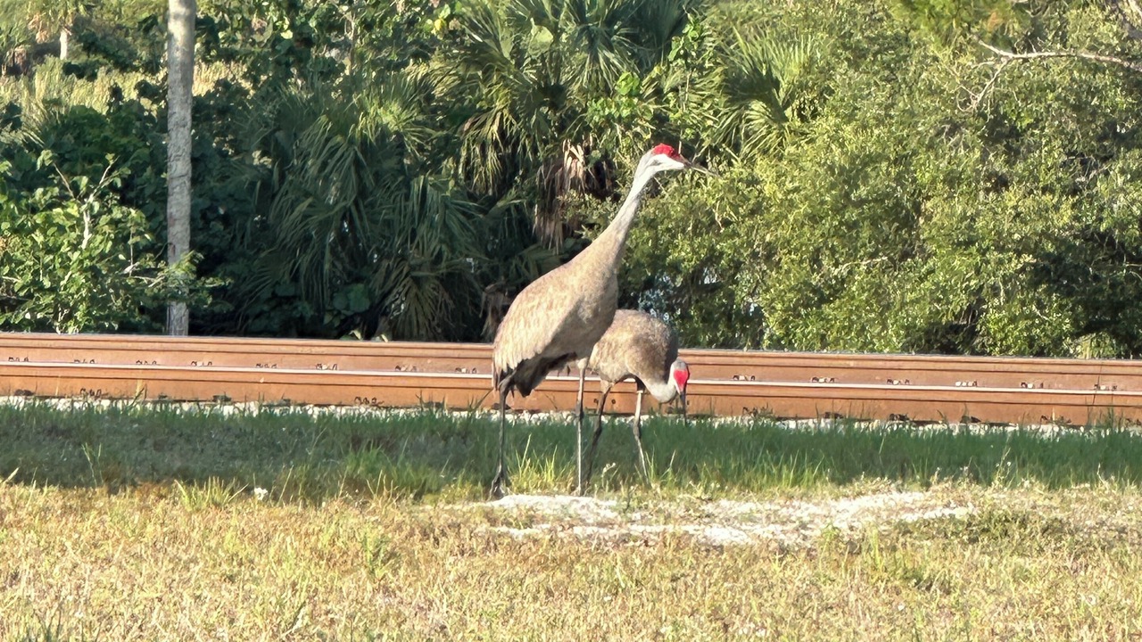 Photo of Others in Fort Pierce