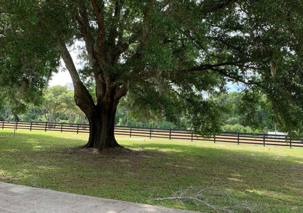 Photo of Outdoor in Summerfield