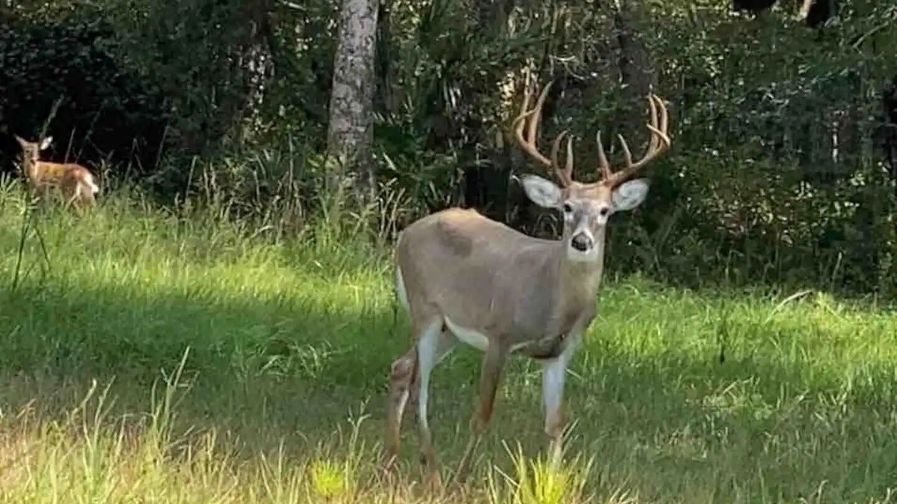 Photo of Outdoor in Jennings