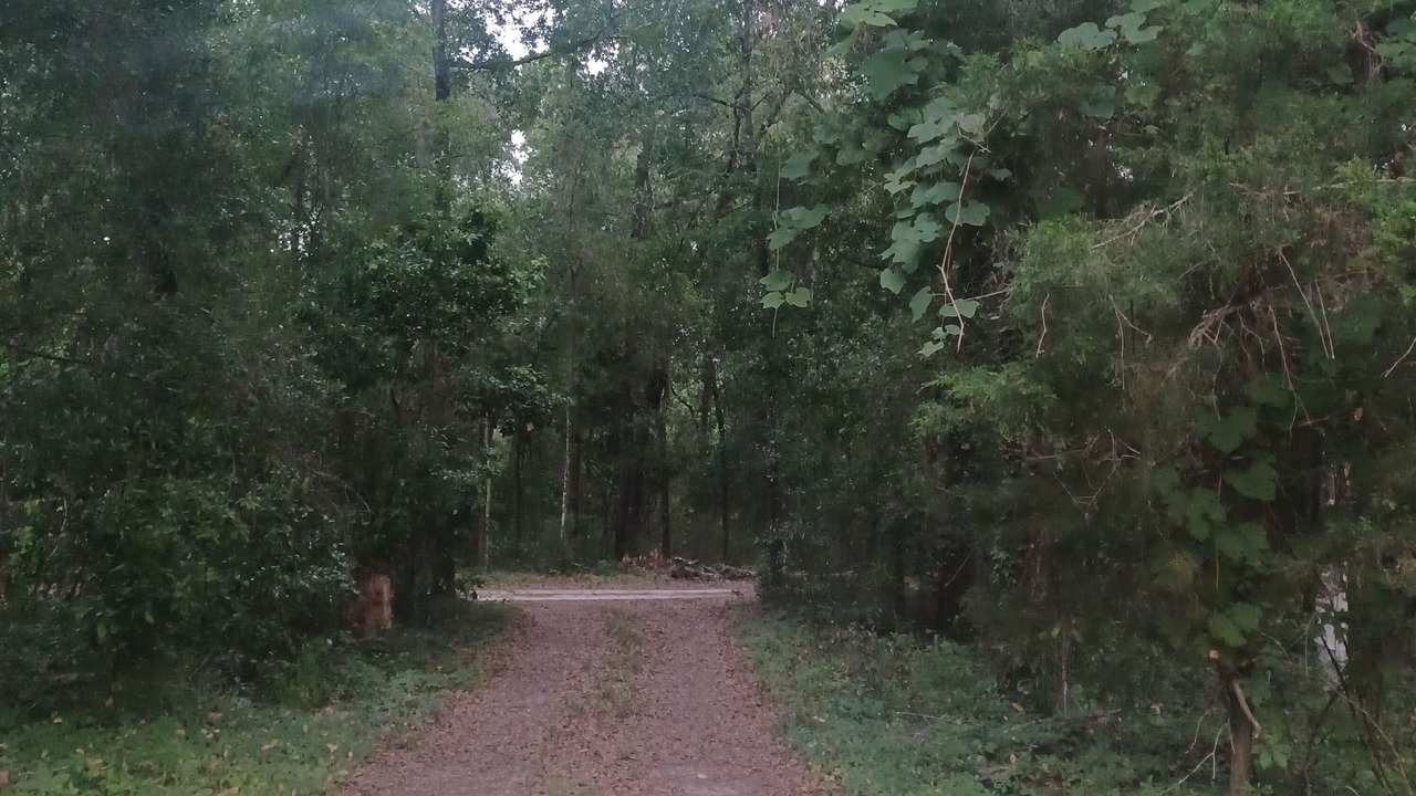 Photo of Outdoor in Branford