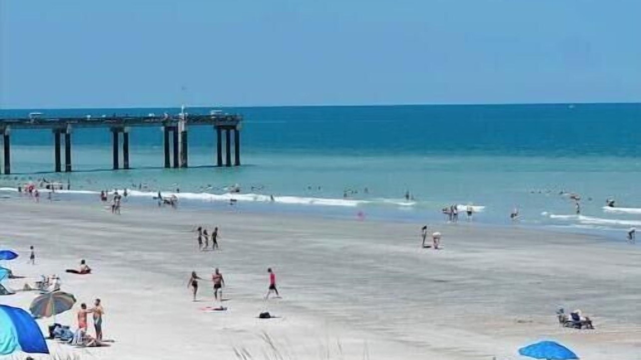 Photo of Others in St. Augustine Beach