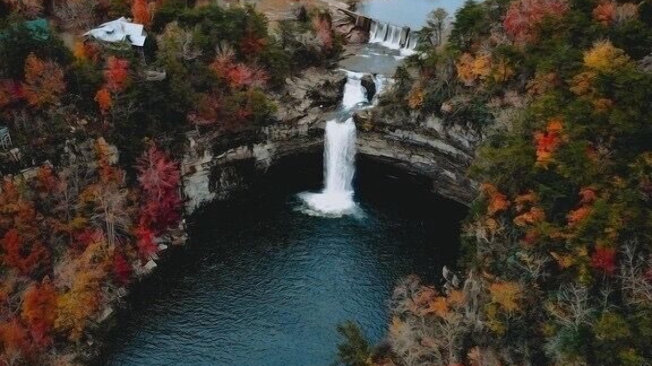 Photo of Others in Cedar Bluff