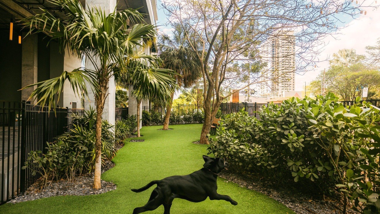 Photo of Outdoor in Riverwalk Fort Lauderdale