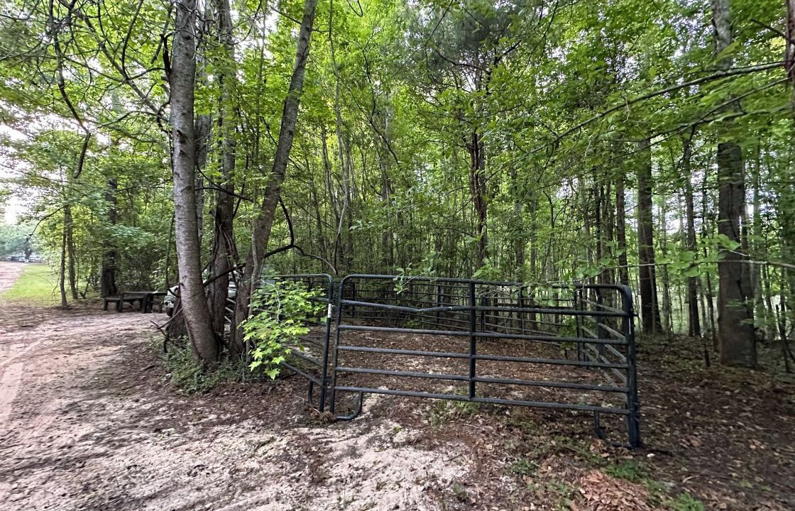 Photo of Outdoor in Tallahassee