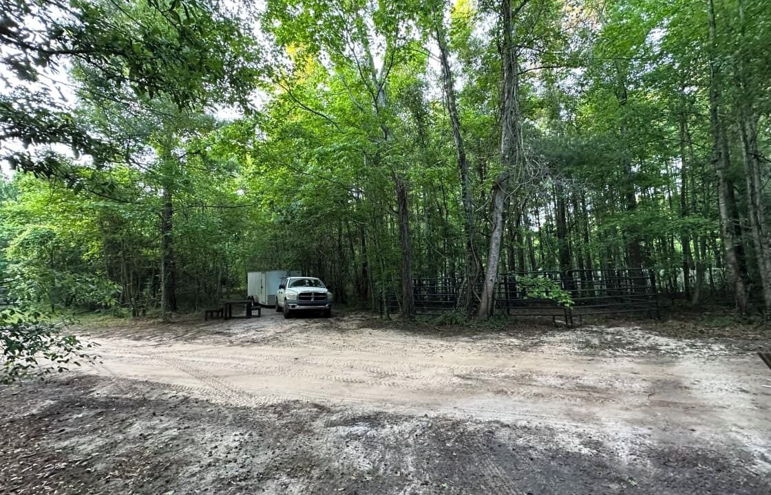 Photo of Outdoor in Tallahassee