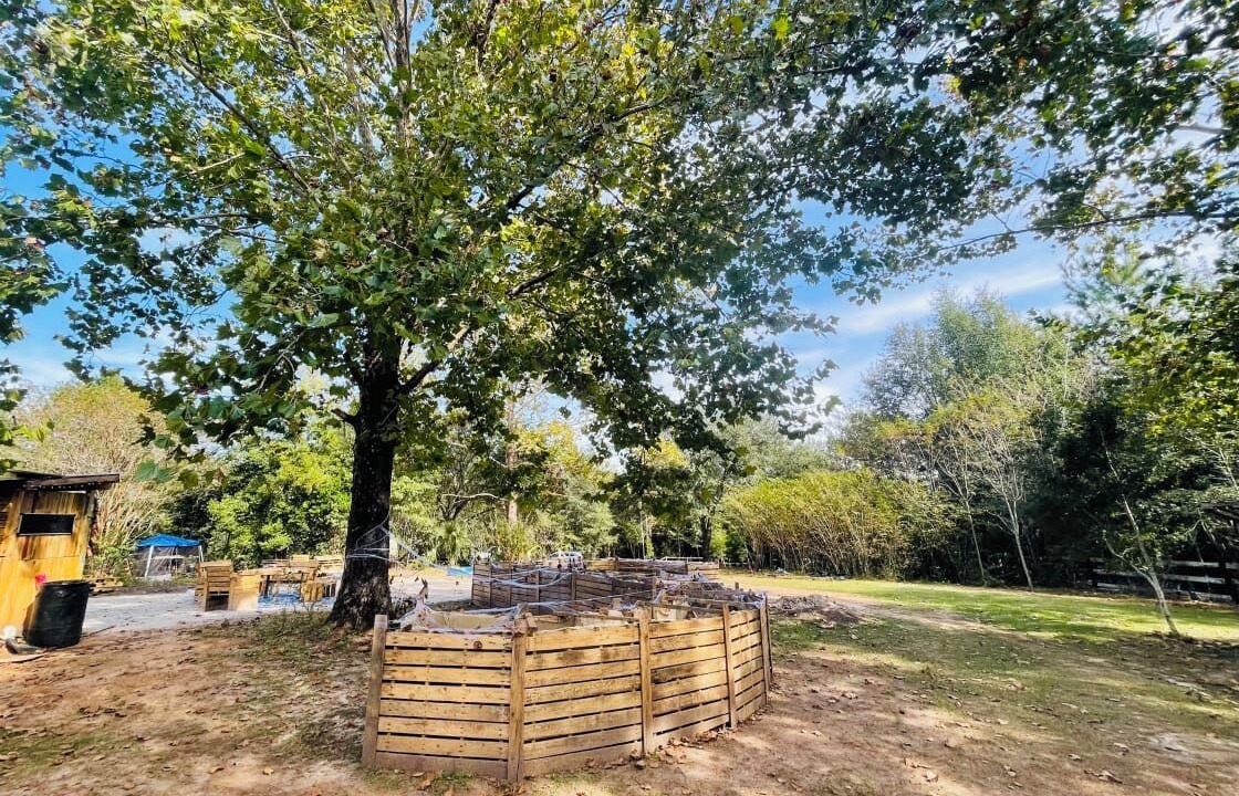 Photo of Outdoor in Tallahassee