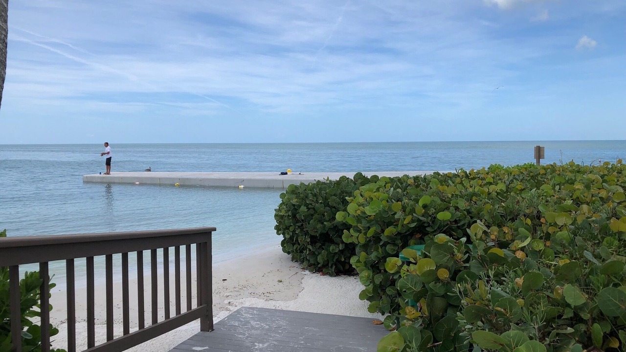 Photo of Others in Siesta Key