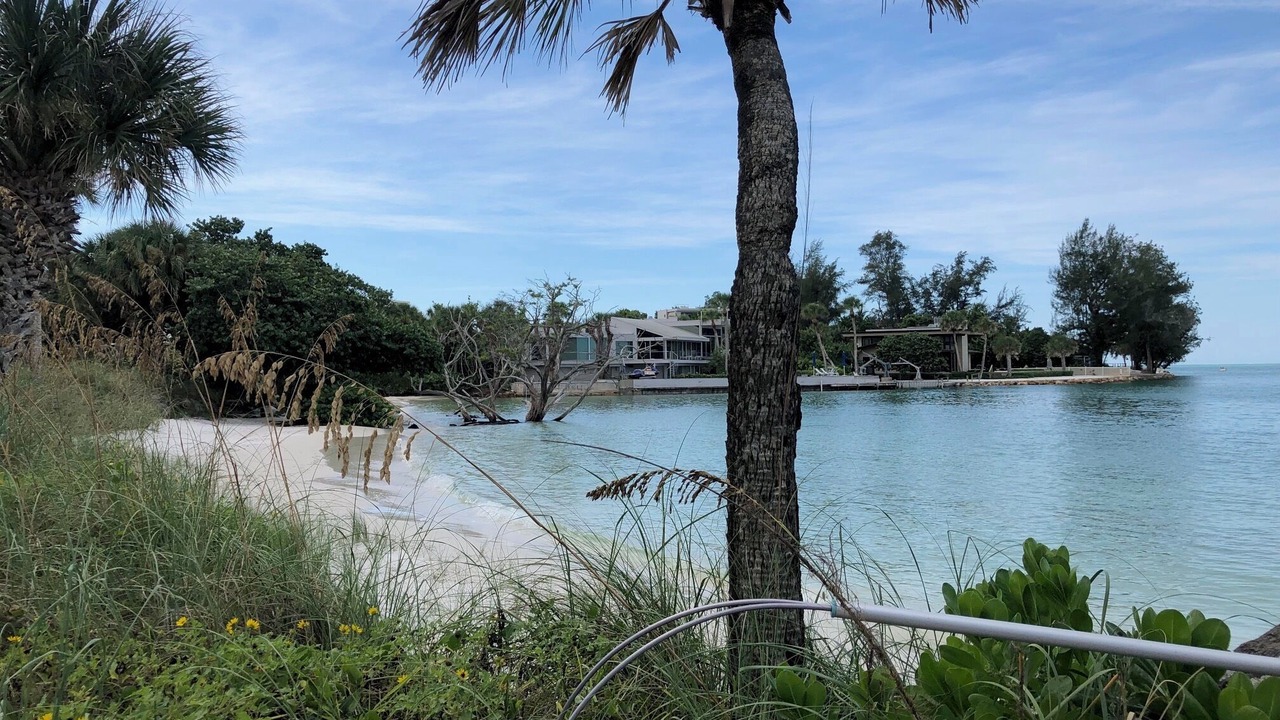 Photo of Others in Siesta Key
