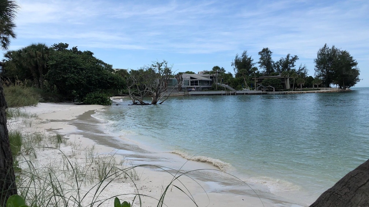 Photo of Others in Siesta Key