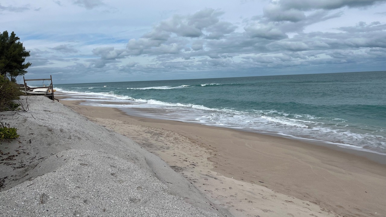 Photo of Others in Melbourne Beach