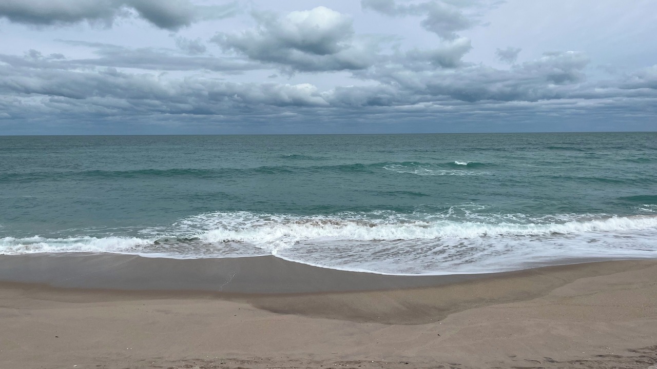 Photo of Others in Melbourne Beach