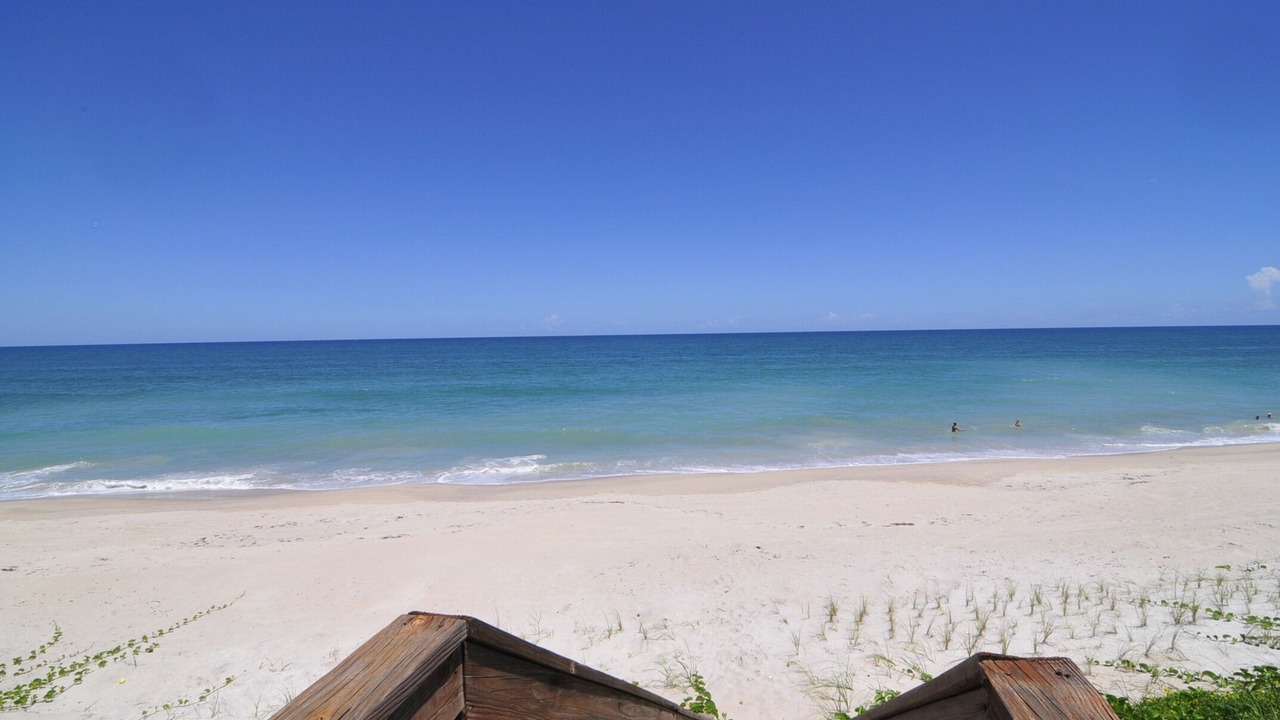 Photo of Others in Melbourne Beach