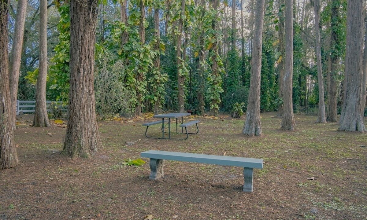 Photo of Outdoor in Greater Northdale