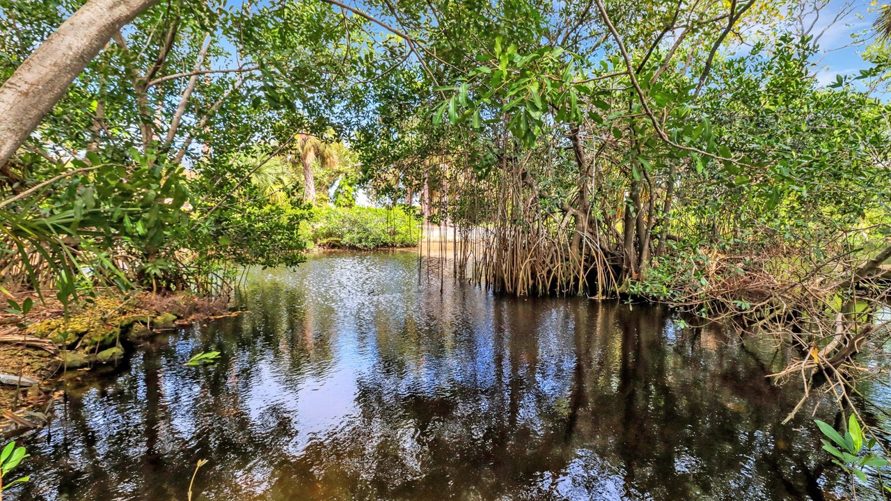 Photo of Outdoor in Palm River Estates